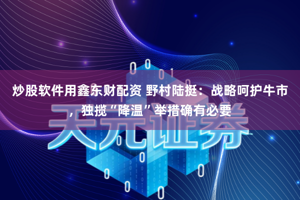炒股软件用鑫东财配资 野村陆挺：战略呵护牛市，独揽“降温”举措确有必要