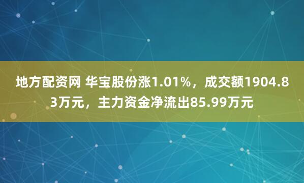 地方配资网 华宝股份涨1.01%，成交额1904.83万元，主力资金净流出85.99万元
