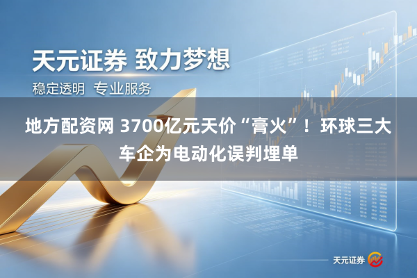 地方配资网 3700亿元天价“膏火”！环球三大车企为电动化误判埋单